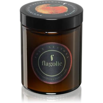 Flagolie Four Seasons Orange & Cinnamon vonná sviečka 120 g