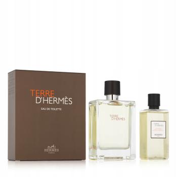 Hermes Terre D` Hermes - EDT 100 ml + sprchový gél 80 ml