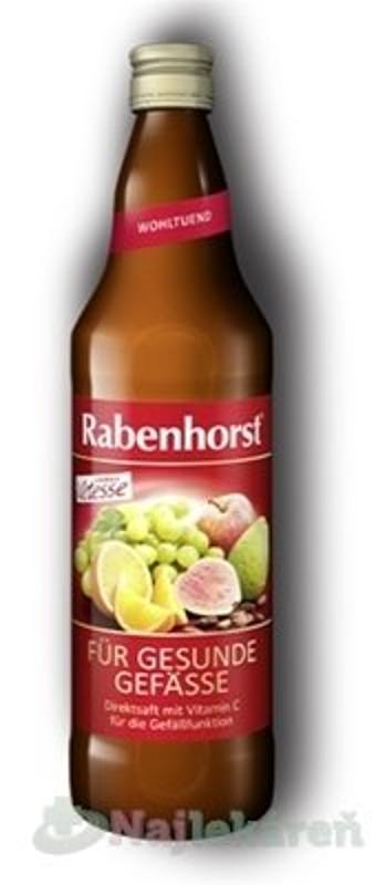 Rabenhorstovocná šťava s vitamínmi a kakaovým extraktom 0,75 l