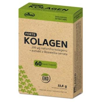 VITAR EKO Kolagén forte 60 kapsúl