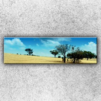 Foto na plátno Africká savana 140x40 cm