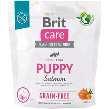 Brit Care Dog Grain-free s lososom Puppy 1 kg (8595602558827)