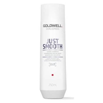 Goldwell Uhladzujúci šampón pre nepoddajné vlasy Dualsenses Just Smooth (Taming Shampoo) 1000 ml