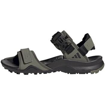 adidas  Sandále Terrex Cyprex Sandal II  viacfarebny