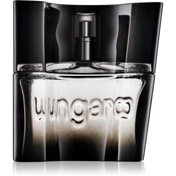 Emanuel Ungaro Ungaro Masculin toaletná voda pre mužov 30 ml