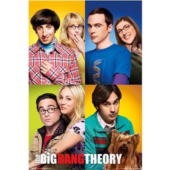 The Big Bang Theory – Teória veľkého tresku – Mosaico – plagát (8435497230081)