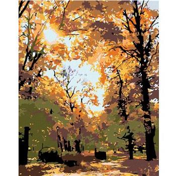 Maľovanie podľa čísel – Jesenné stromy (HRAmal00577nad)