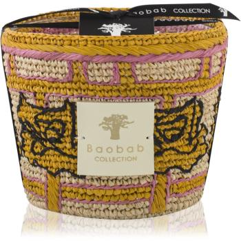 Baobab Collection Frida Draozy Diego vonná sviečka 10 cm