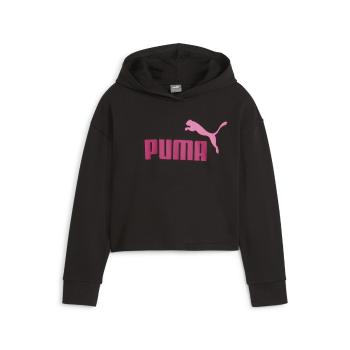 Puma  ESS 2COLOR HOODIE  Mikiny Čierna