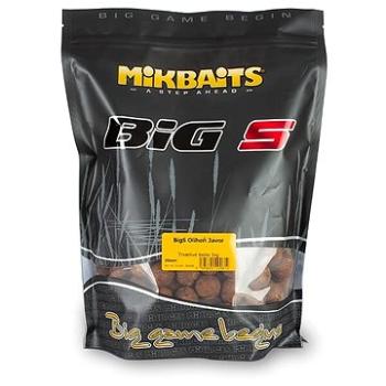 Mikbaits – Legends Boilie BigS Kalmár Javor 20 mm 1 kg (8595602200610)