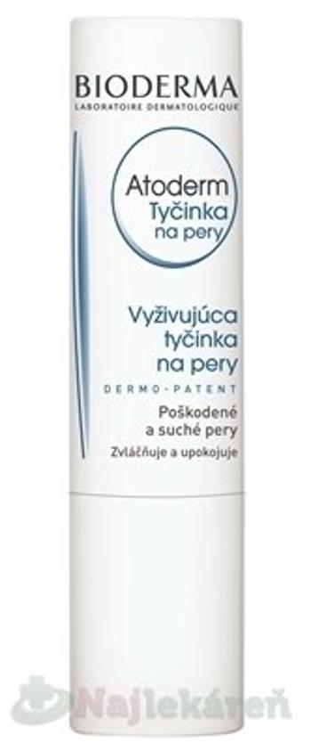 BIODERMA Atoderm Tyčinka na pery 4g