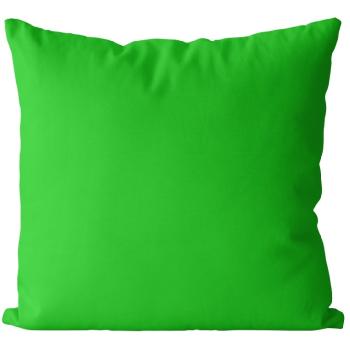 Vankúš Zelený jarný (Veľkosť: 55 x 55 cm)