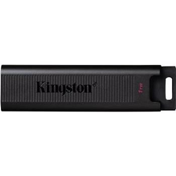 Kingston DataTraveler Max 1 TB (DTMAX/1TB)