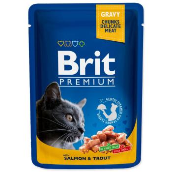 BRIT PREMIUM CAT KAPSICKA SALMON & TROUT 100G (293-100271)