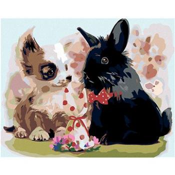 Maľovanie podľa čísel – Šteňa s čiernym králikom (HRAmal00819nad)