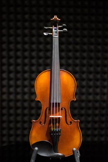 Petz SPLW60S Violin