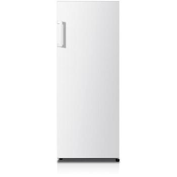 HISENSE FV206D4AW1