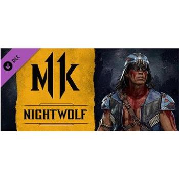 Mortal Kombat 11 Nightwolf (PC) Steam (895927)