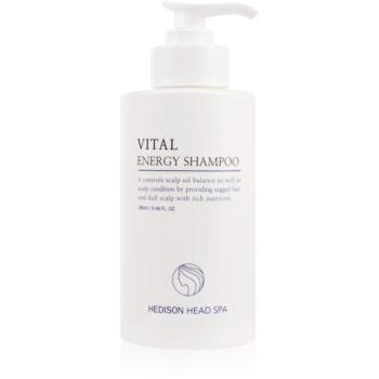 Dr. HEDISON Vital Energy šampón na vlasy a vlasovú pokožku 280 ml