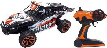 Amewi 22220 Extreme D5 1:18 RC model auta elektrický buggy 4WD (4x4) vr. akumulátorov, nabíjačky a batérie ovládača