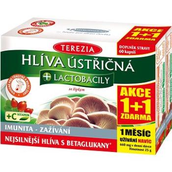 TEREZIA Hliva + lactobacily 60 + 60 kapsúl (2861962)