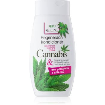 Bione Cosmetics Cannabis regeneračný kondicionér 260 ml