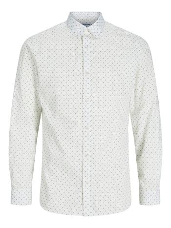 Jack&Jones PLUS Pánska košeľa JJJOE Slim Fit 12264373 White 5XL