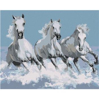 Maľovanie podľa čísiel – Biele kone (HRAbz33176nad)