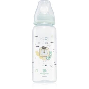 Kikkaboo Savanna Baby Bottle dojčenská fľaša 3 m+ Mint 240 ml