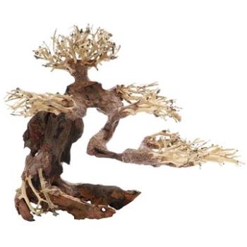 Dupla Bonsai M prírodná drevená dekorácia 30 × 15 × 23 cm (D79013)