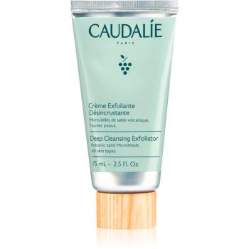 Caudalie Cleaners & Toners pleťový peeling pre hĺbkové čistenie 75 ml