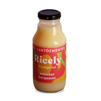 Ricely ovocné smoothie na ryžovej báze ananás, bergamot