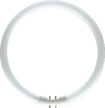 OSRAM žiarivková trubica En.trieda 2021: G (A - G) 2GX13 40 W neutrálna biela 840 kruhová žiarivka (Ø x d) 16 mm x 305 m