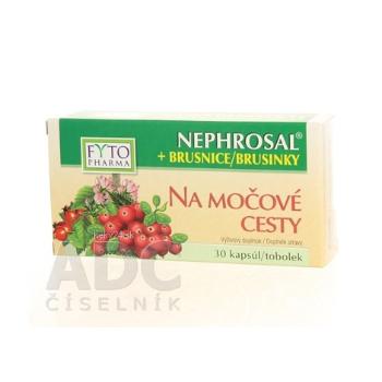 FYTO NEPHROSAL + BRUSNICE na močové cesty