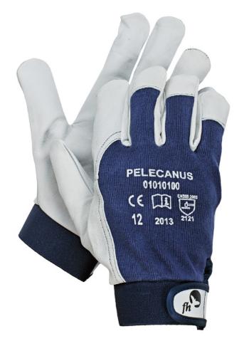PELECANUS rukavice - 10