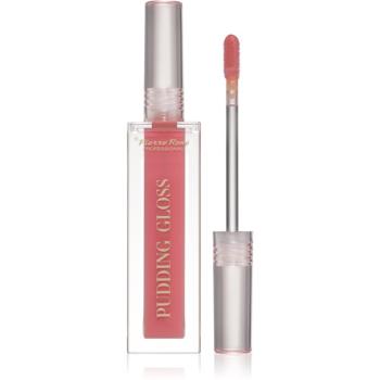 Pierre René Professional Pudding Lip Gloss hydratačný lesk na pery odtieň 01 Gloss Up Honey 5 ml