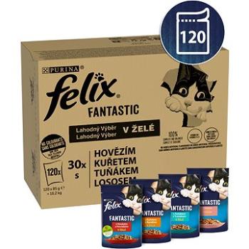 Felix Fantastic multipack lahodný výber v želé 120× 85 g (7613038576909)