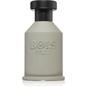 Bois 1920 Itruk parfumovaná voda unisex 100 ml