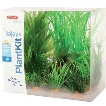 Zolux Sada umelých rastlín Jalaya typ 1 (3336023521459)