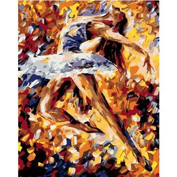 Maľovanie podľa čísel – Krásna baletka vo farbách (HRAmal00488nad)