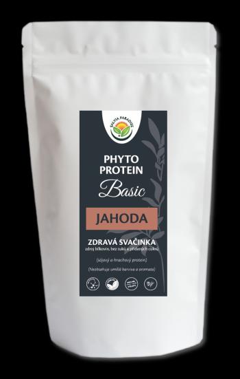 Salvia Paradise Phyto Proteín Basic Jahoda 300 g
