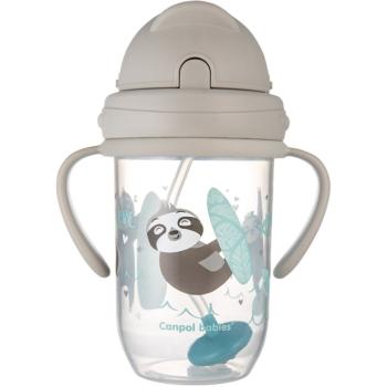 canpol babies Exotic Animals Cup With Straw hrnček s rúrkou Gray 270 ml