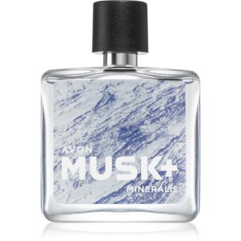 Avon Musk+ Mineralis toaletná voda pre mužov 75 ml