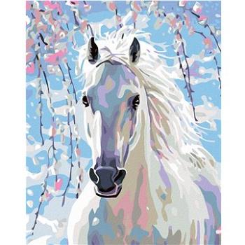 Maľovanie podľa čísel – Biely kôň (HRAmal00063nad)