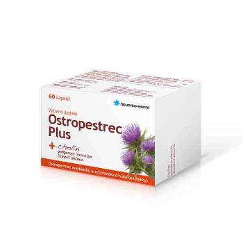 Neuraxpharm OSTROPESTREC PLUS