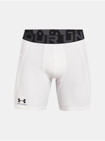 Nohavice a kraťasy pre mužov Under Armour