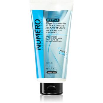 Brelil Numéro Elasticizing & Frizz-Free Mask maska pre vlnité vlasy 300 ml