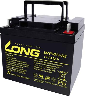 Long WP45-12 WP45-12 olovený akumulátor 12 V 45 Ah olovený so skleneným rúnom (š x v x h) 199 x 171 x 166 mm skrutkované
