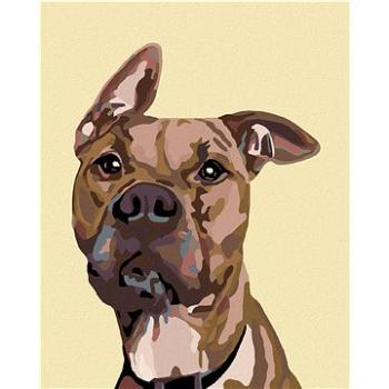 Maľovanie podľa čísel – Pes s nastraženým uchom (HRAmal00658nad)