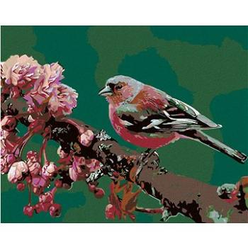 Maľovanie podľa čísel – Kvitnúca sakura a ružový vtáčik (HRAmal00233nad)